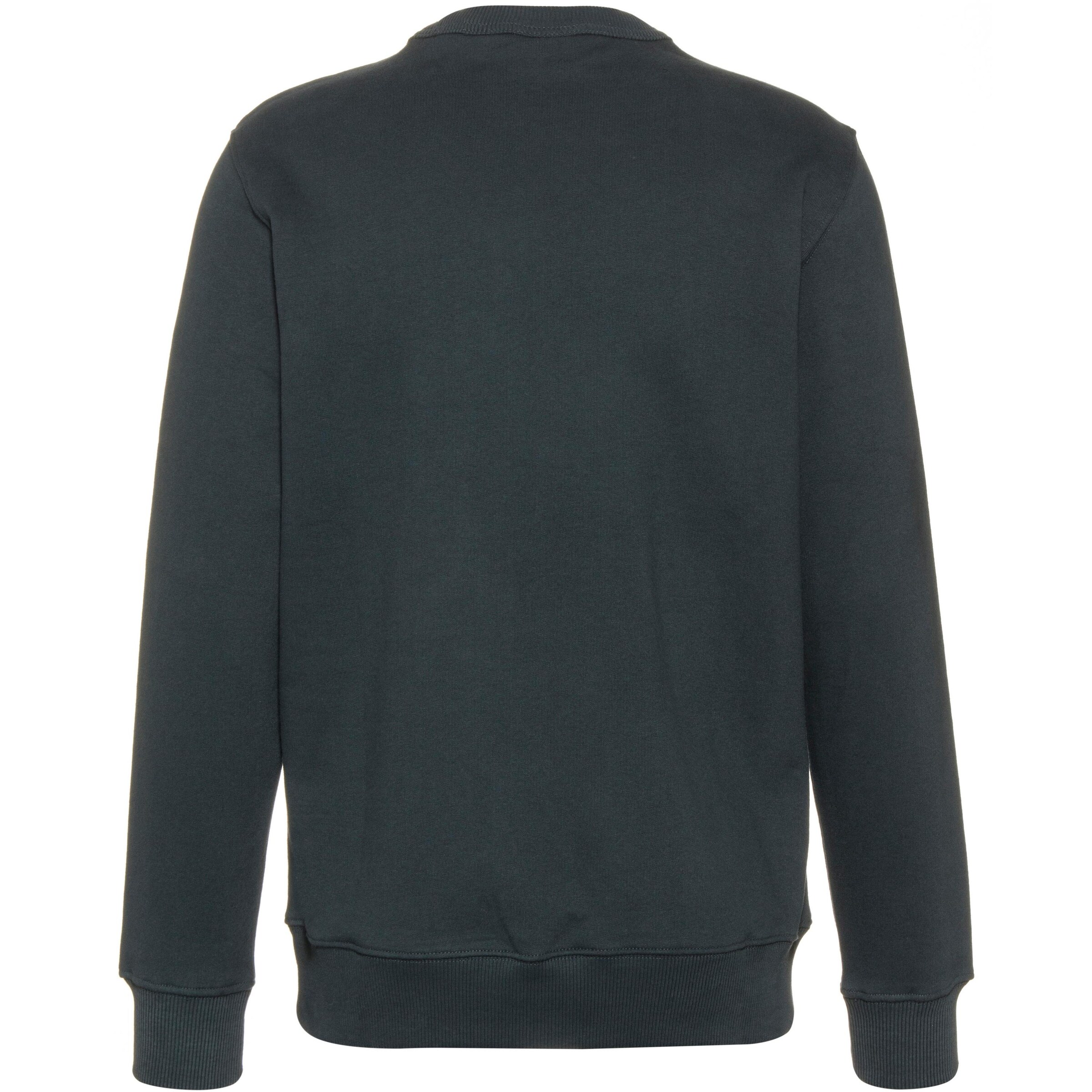 DICKIES - Sweatshirt 'Aitkin' em verde