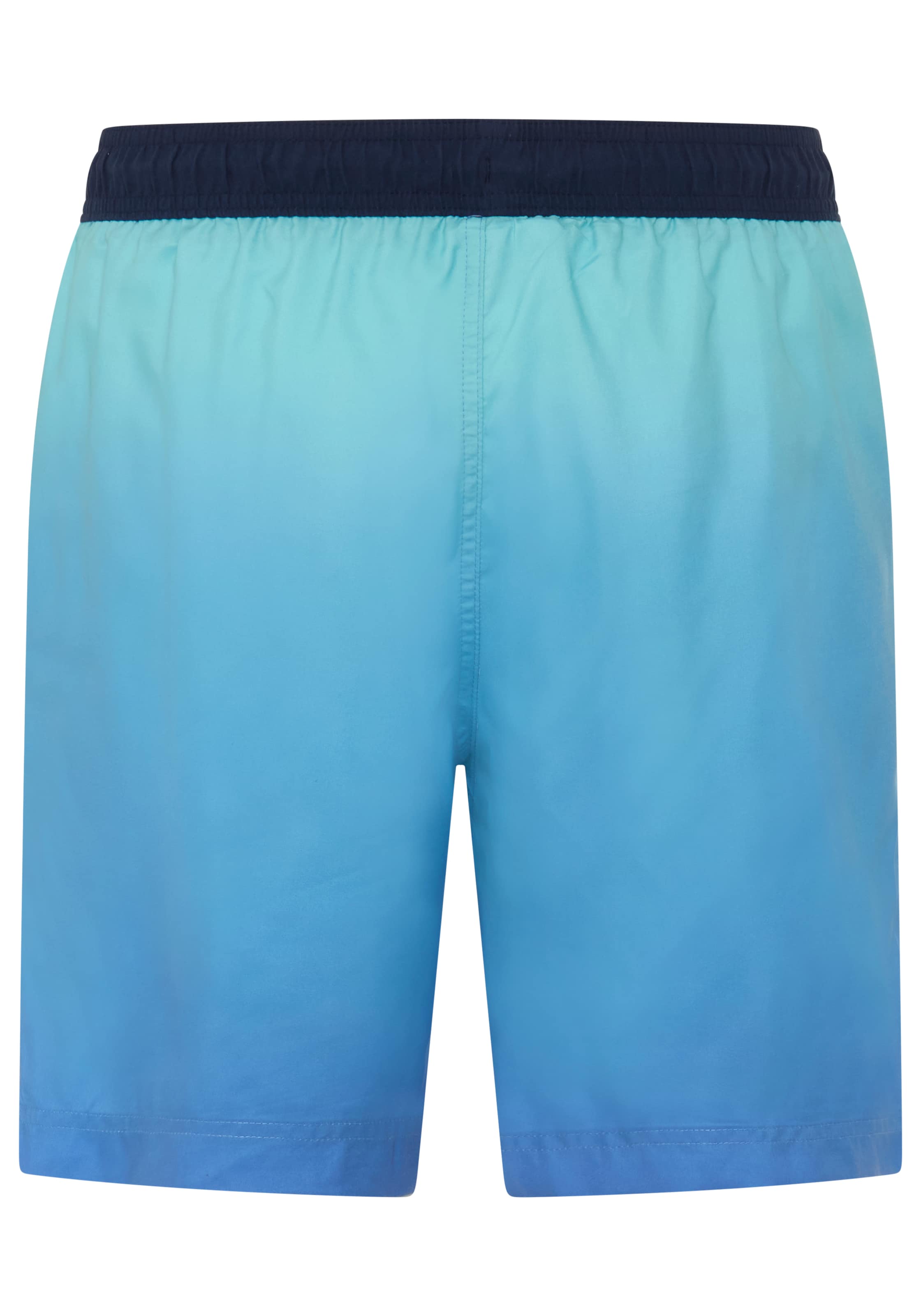 Champion Board Shorts in Blue
