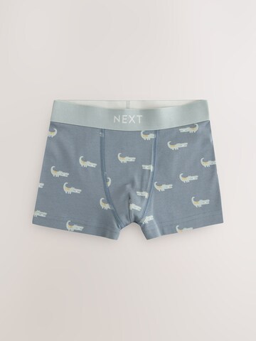 Next Badehose in Mischfarben