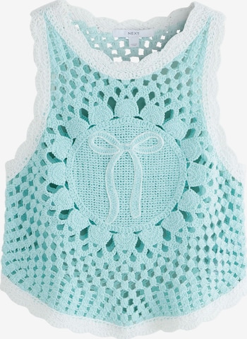 Tops en tricot Next en bleu : devant
