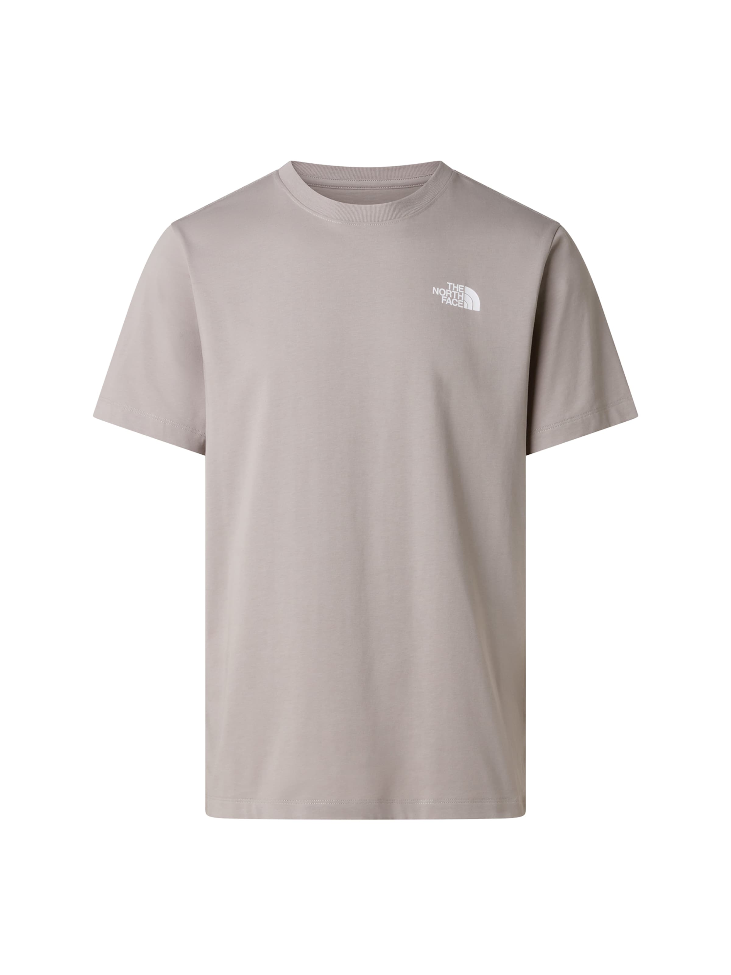 THE NORTH FACE - Camiseta 'Evolution Box NSE' en gris: frente