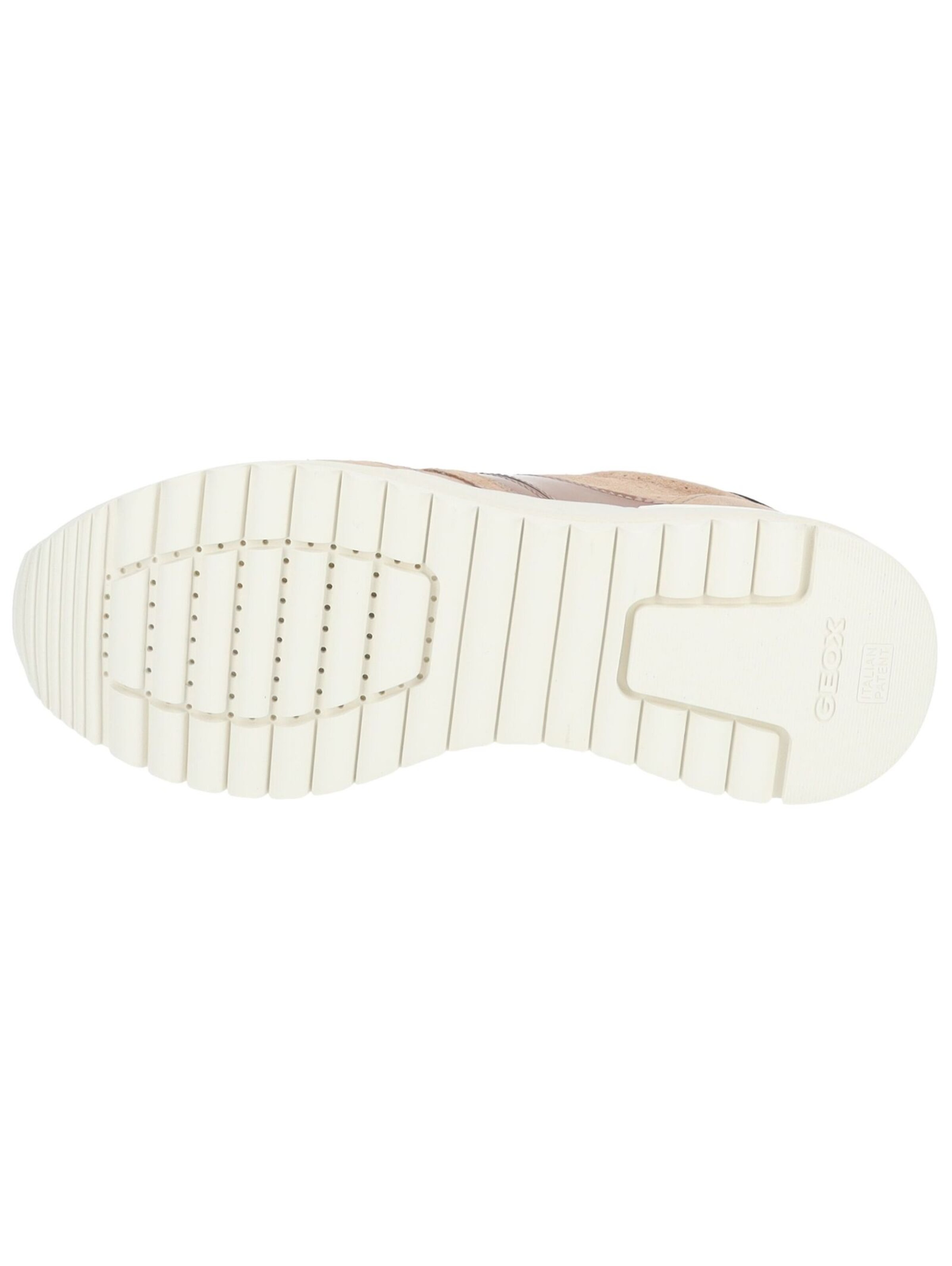 Baskets basses GEOX en rose