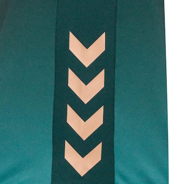 Hummel Funktionsskjorte 'SV Werder Bremen 2025/2026' i grøn