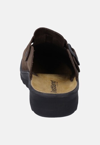 Westland Slipper 'METZ' in Brown