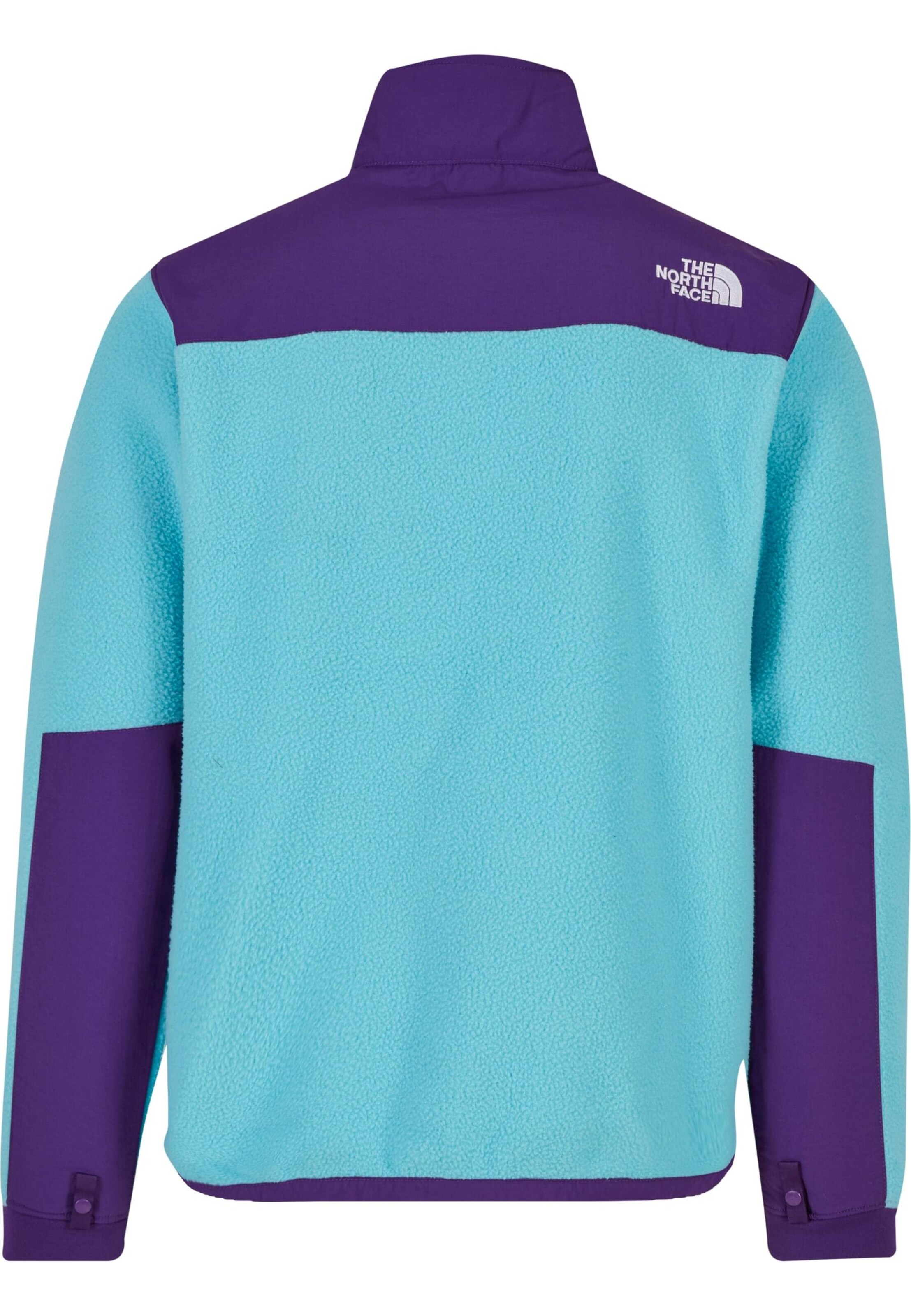 THE NORTH FACE Regular fit Fleece jacket 'Denali 2' in Blue
