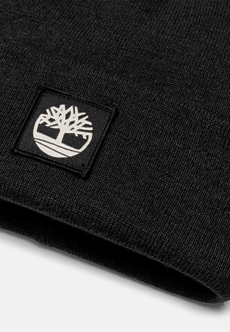 TIMBERLAND Kape | črna barva