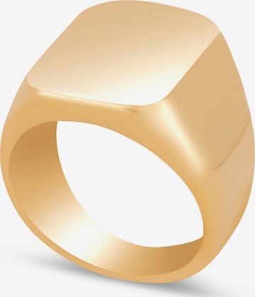 Akitsune Ring 'Iustitia' in Gold: front