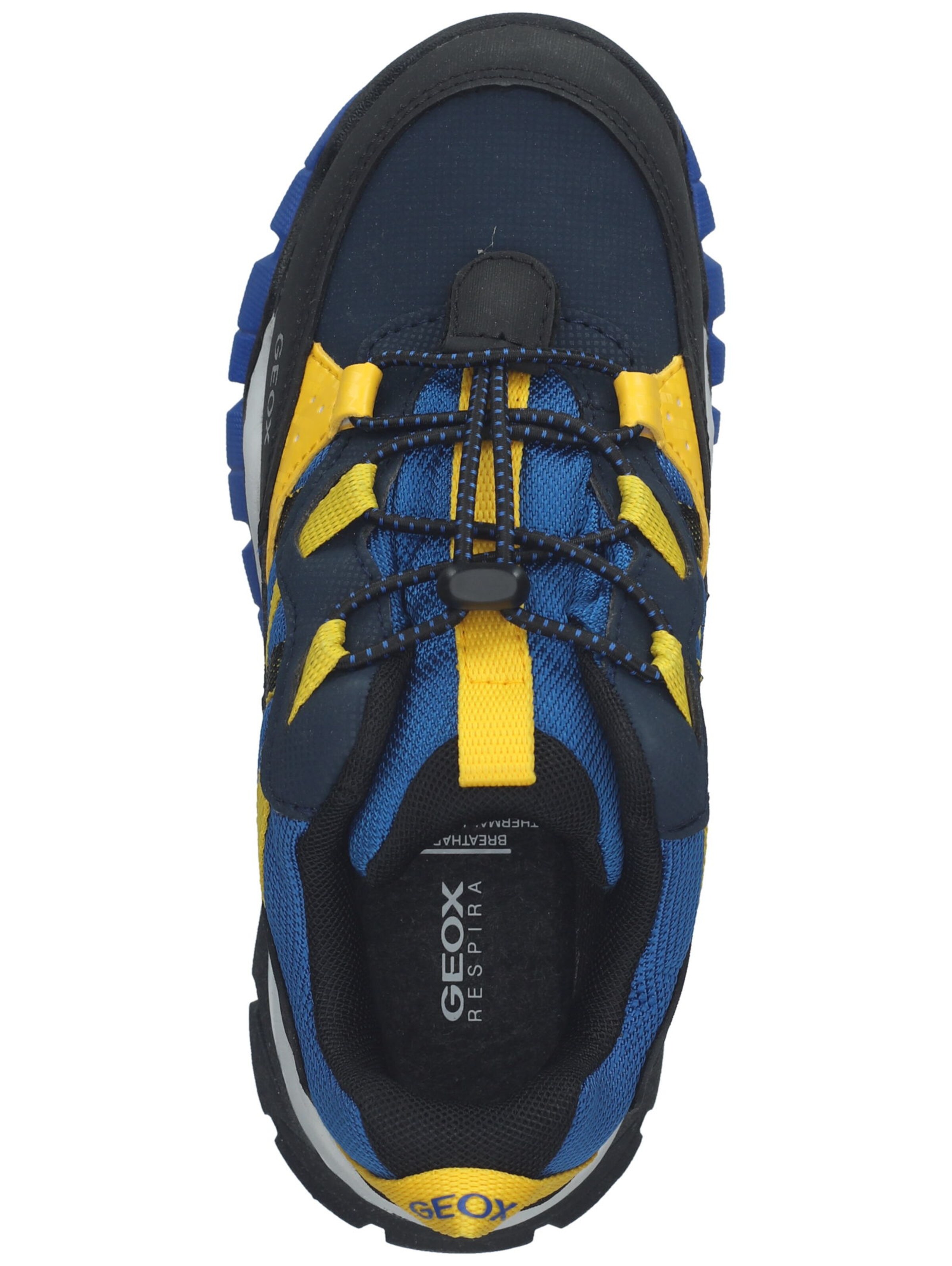 GEOX Trainers in Blue