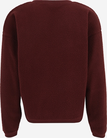 Nike Sportswear Sweater 'CLUB' in Brown