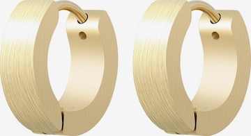 Akzent Earrings 'Delia, langlebig' in Gold: front