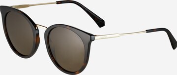 Polaroid Sunglasses 'FRAMES' in Brown: front