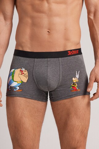 INTIMISSIMI Boxer shorts 'ASTERIX E OBELIX' in Grey: front