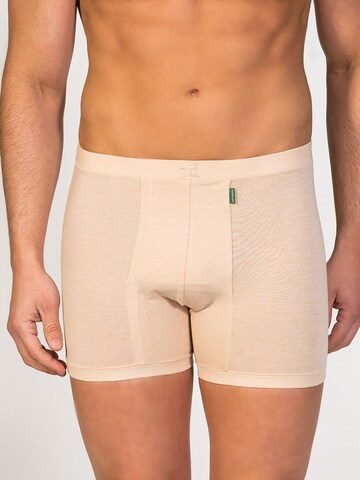 zd ZERO DEFECTS - Calzoncillo boxer 'Helios fly front boxer' en beige: frente
