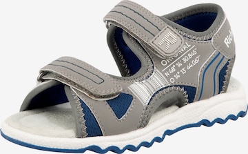 RICHTER Sandals & Slippers in Grey: front