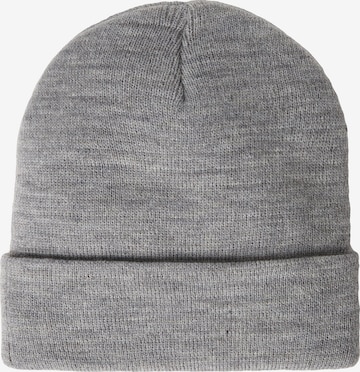 DICKIES Beanie in Grey