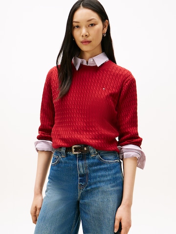 TOMMY HILFIGER Свитер в Красный: спереди