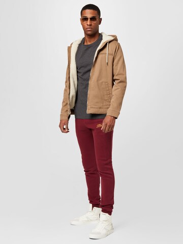 HOLLISTER Tapered Broek in Rood