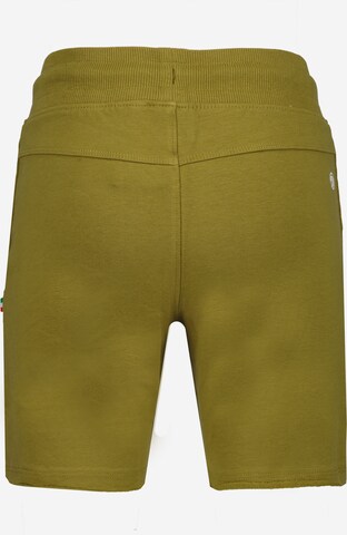 Regular Pantalon VINGINO en vert