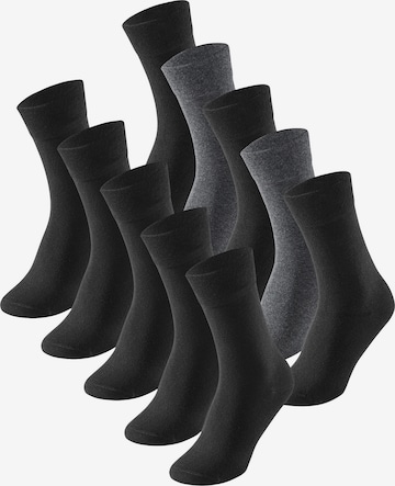 SCHIESSER - Calcetines ' Cotton Fit ' en gris: frente