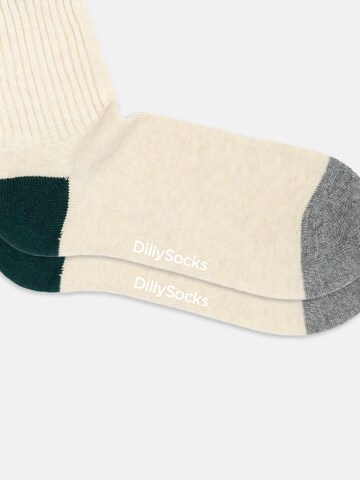 Chaussettes 'Cozy Hansens' DillySocks en mélange de couleurs