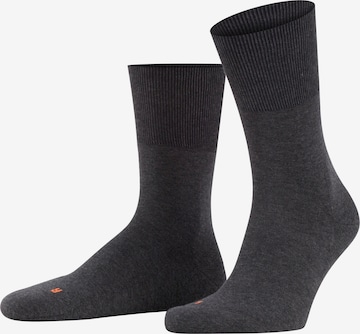 FALKE Socks 'Run' in Grey: front