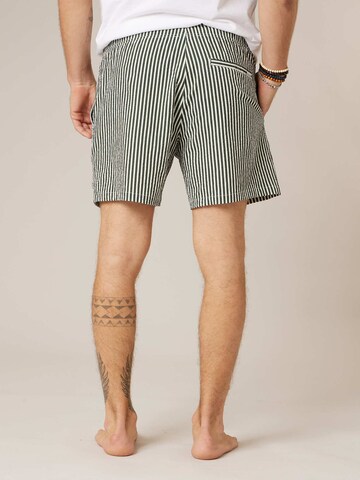 Deeluxe Board Shorts 'Pedro' in Green