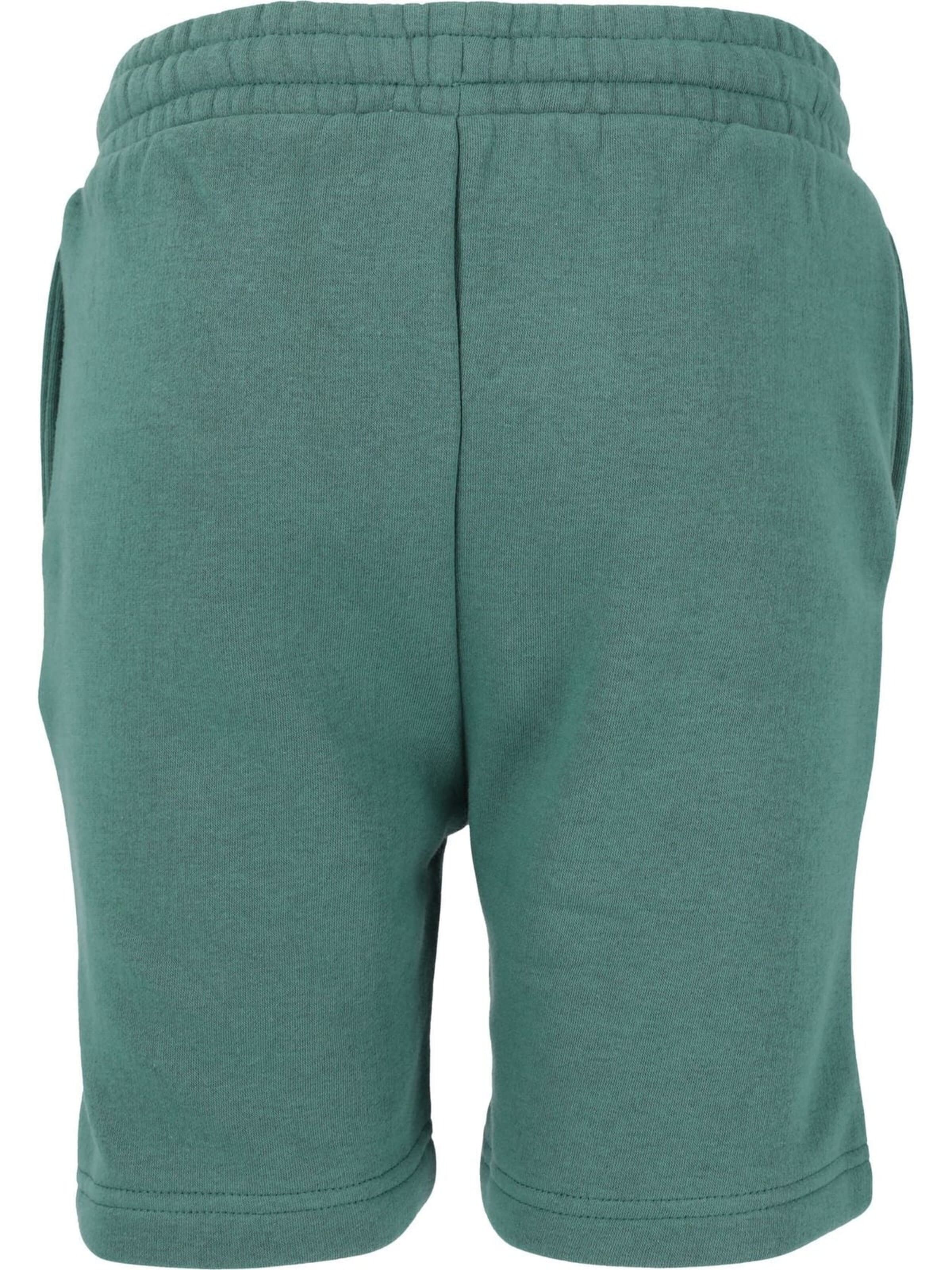 Regular Pantalon de sport 'Glakrum' ENDURANCE en vert