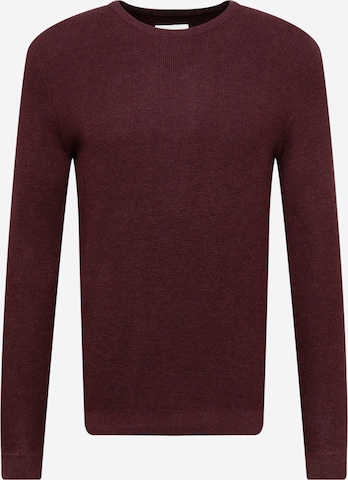 TOM TAILOR Sweater in Purple: front
