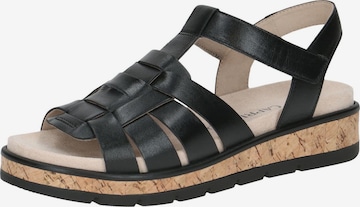 CAPRICE Strap Sandals in Black: front