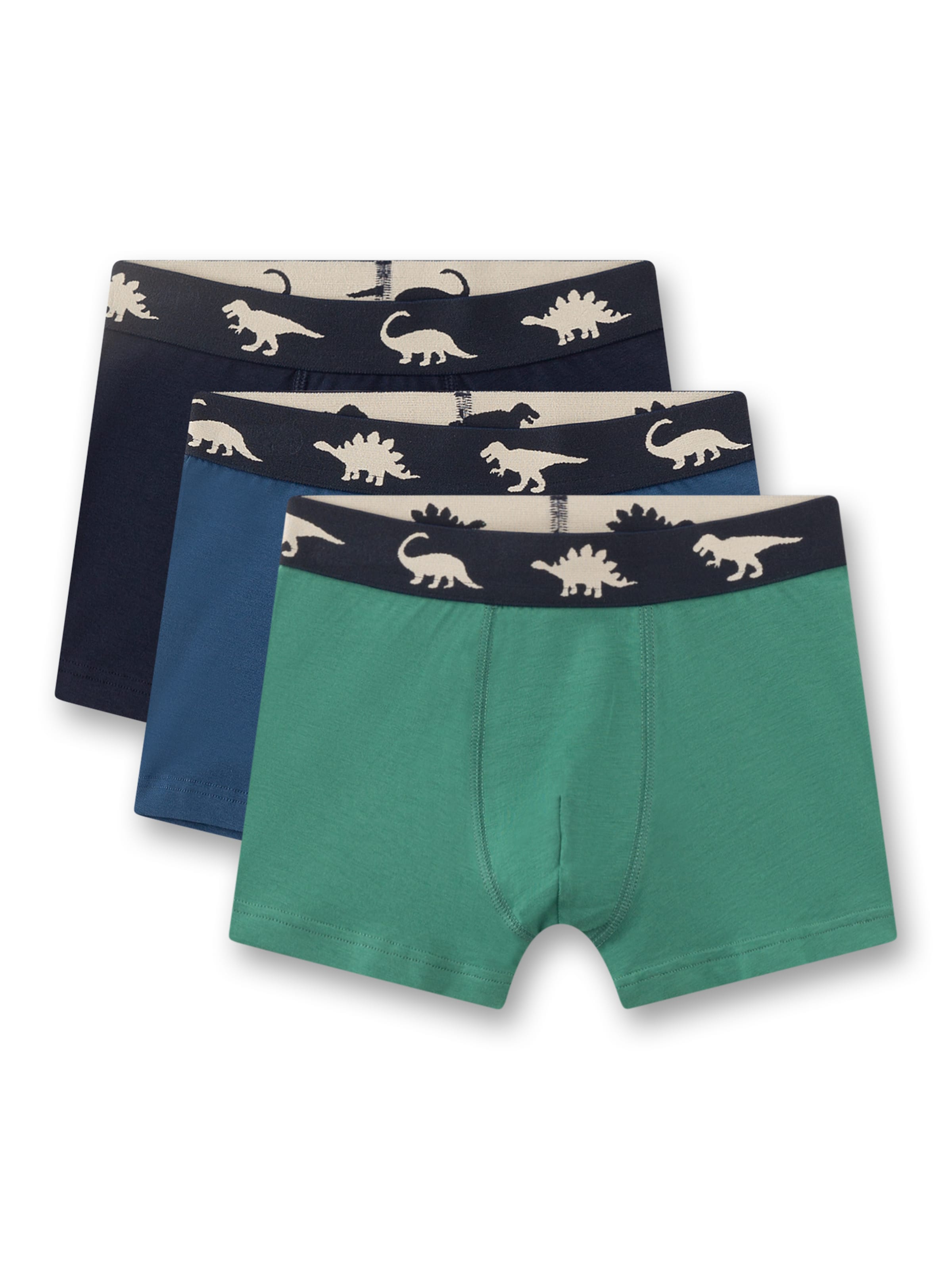 Pantaloncini intimi di Sanetta in blu: frontale