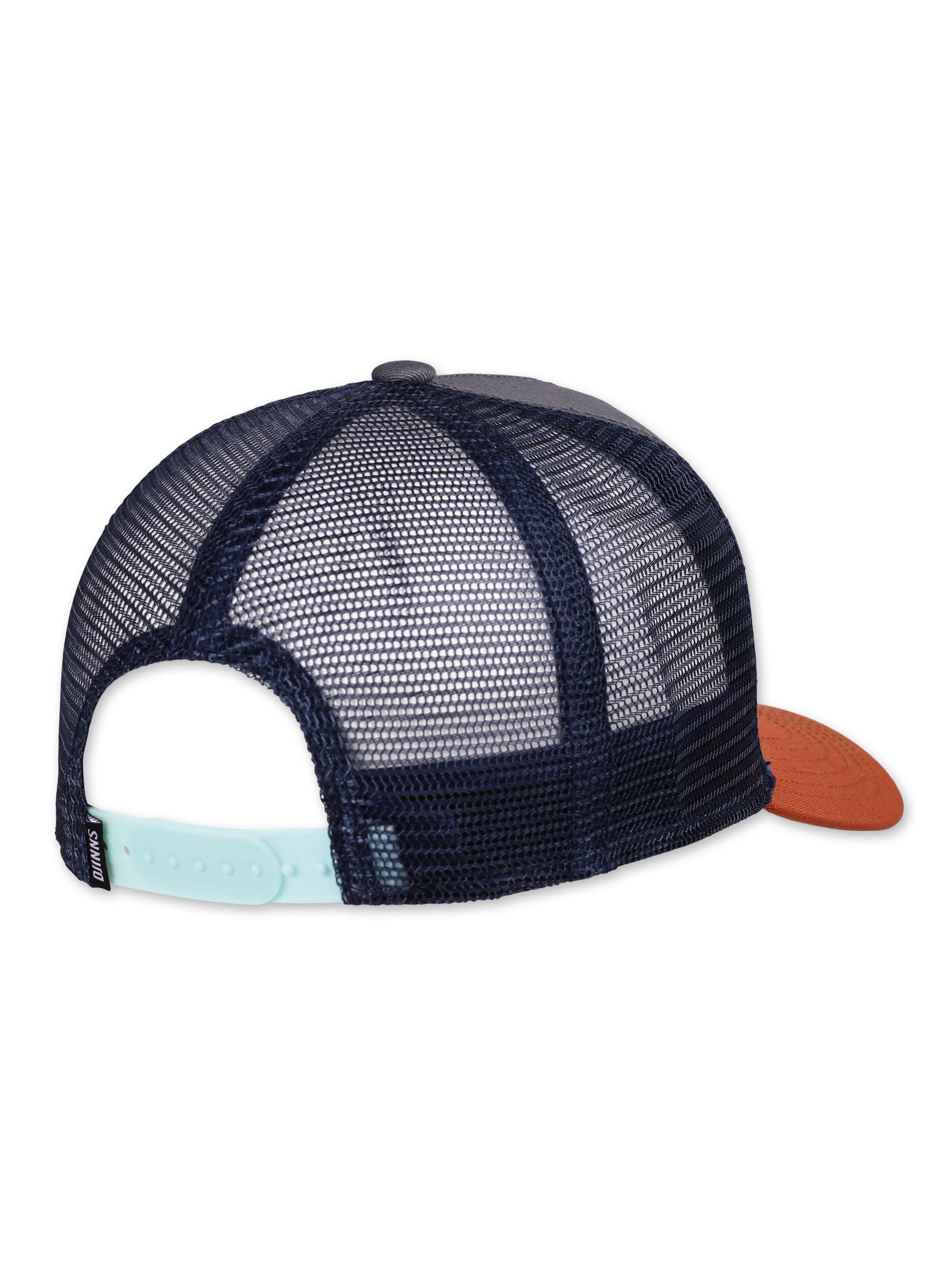 DJINNS Cap 'HFT DNC New 1.5' in Grey