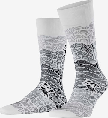 FALKE Socken 'Plage' in Schwarz: Vorderseite