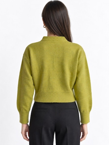 Viorna Knit cardigan 'Strickjacken' in Green