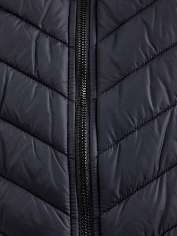 Lindbergh Bodywarmer in Zwart