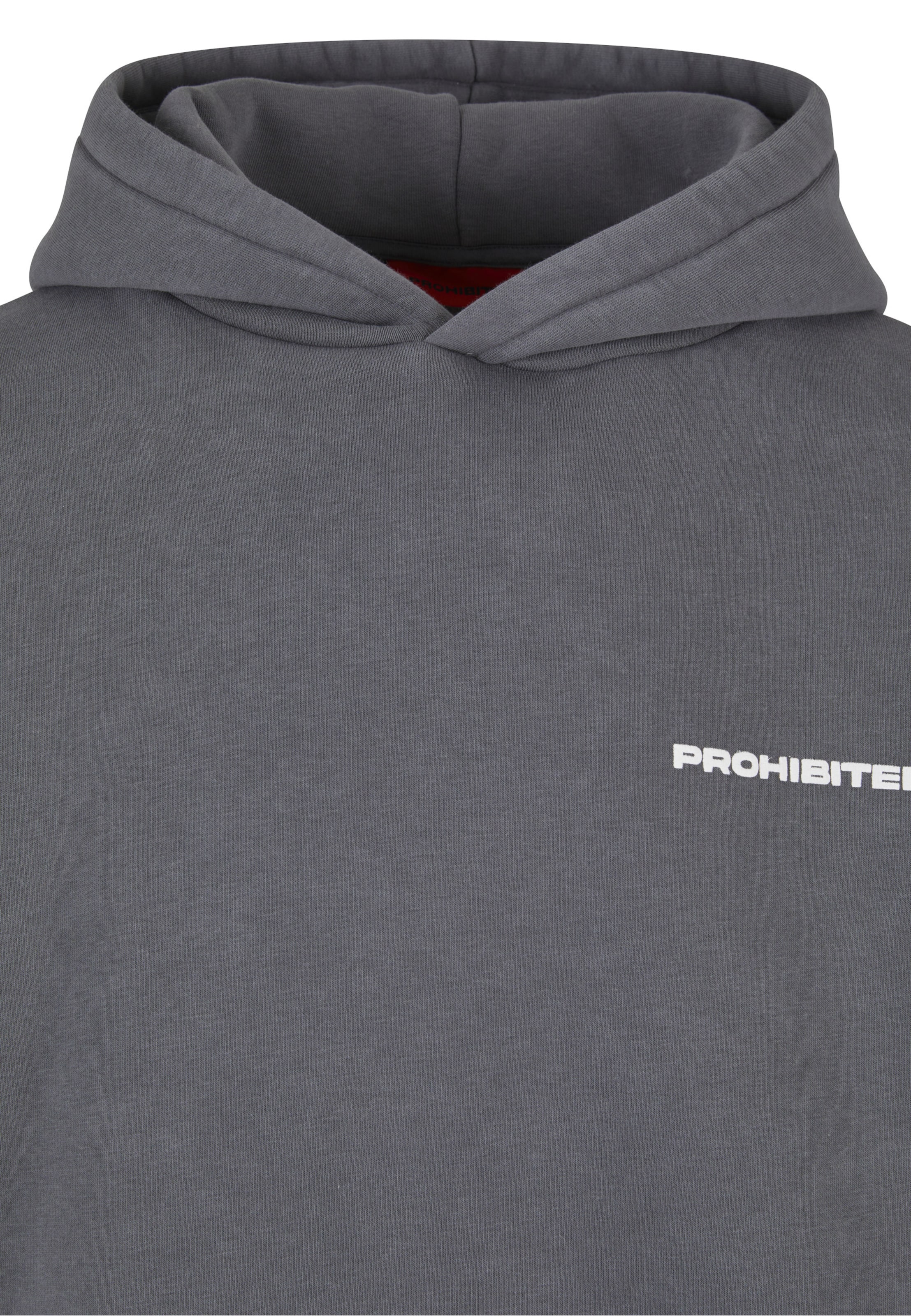 Prohibited Sweatshirt i grå
