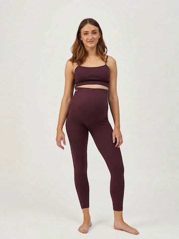 SNOCKS Slimfit Sportbroek in Rood: voorkant