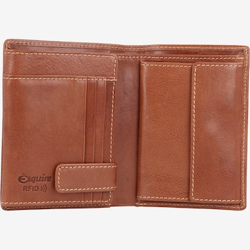 Esquire Wallet 'Denver' in Brown