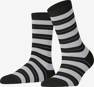 FALKE Socken 'Stripe Uniform' in Schwarz: Vorderseite