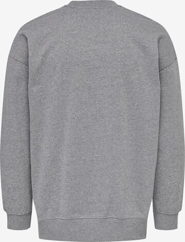 Only & Sons Sweatshirt 'Steve' i grå