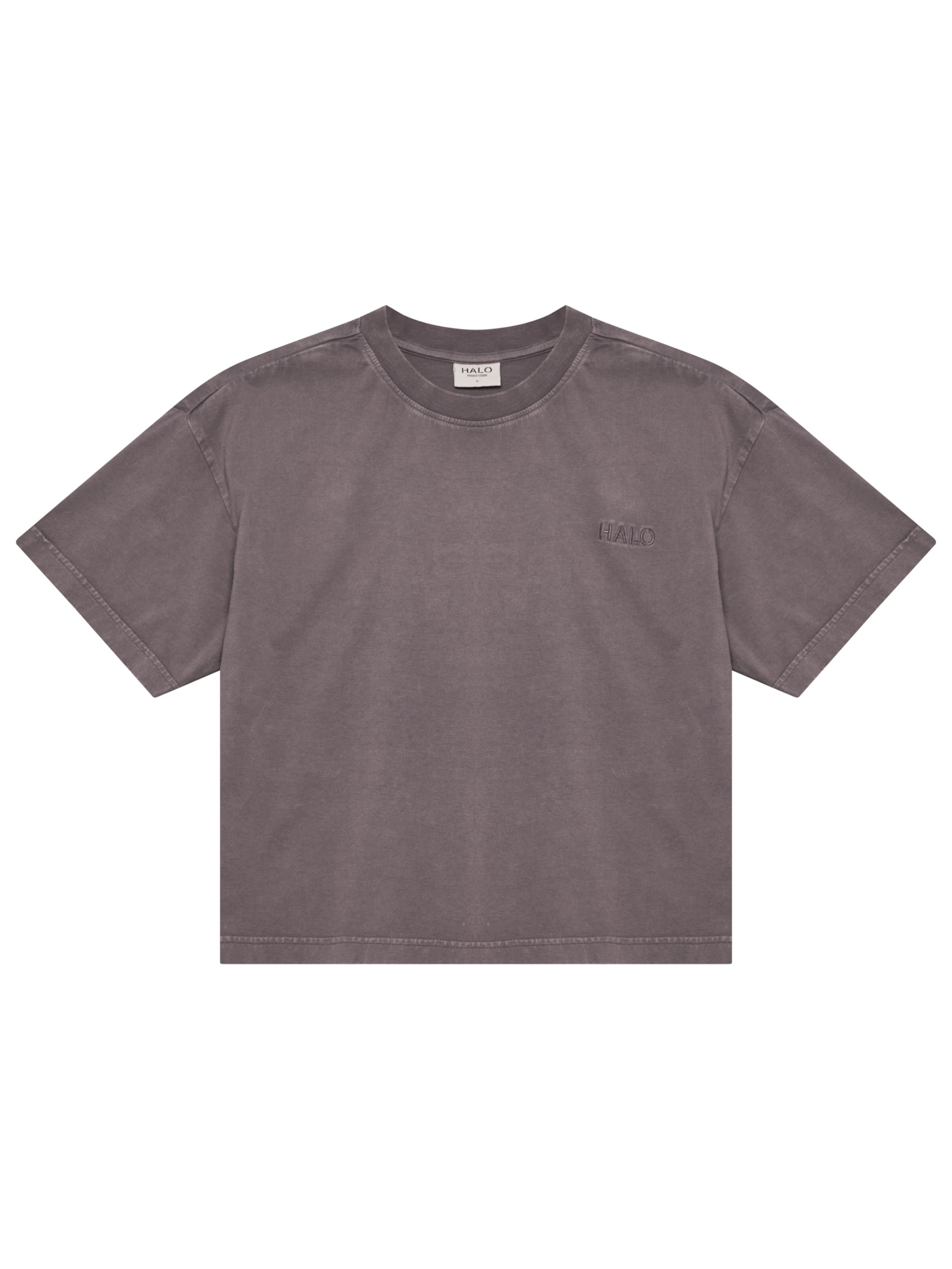 HALO Shirt in Grey: front