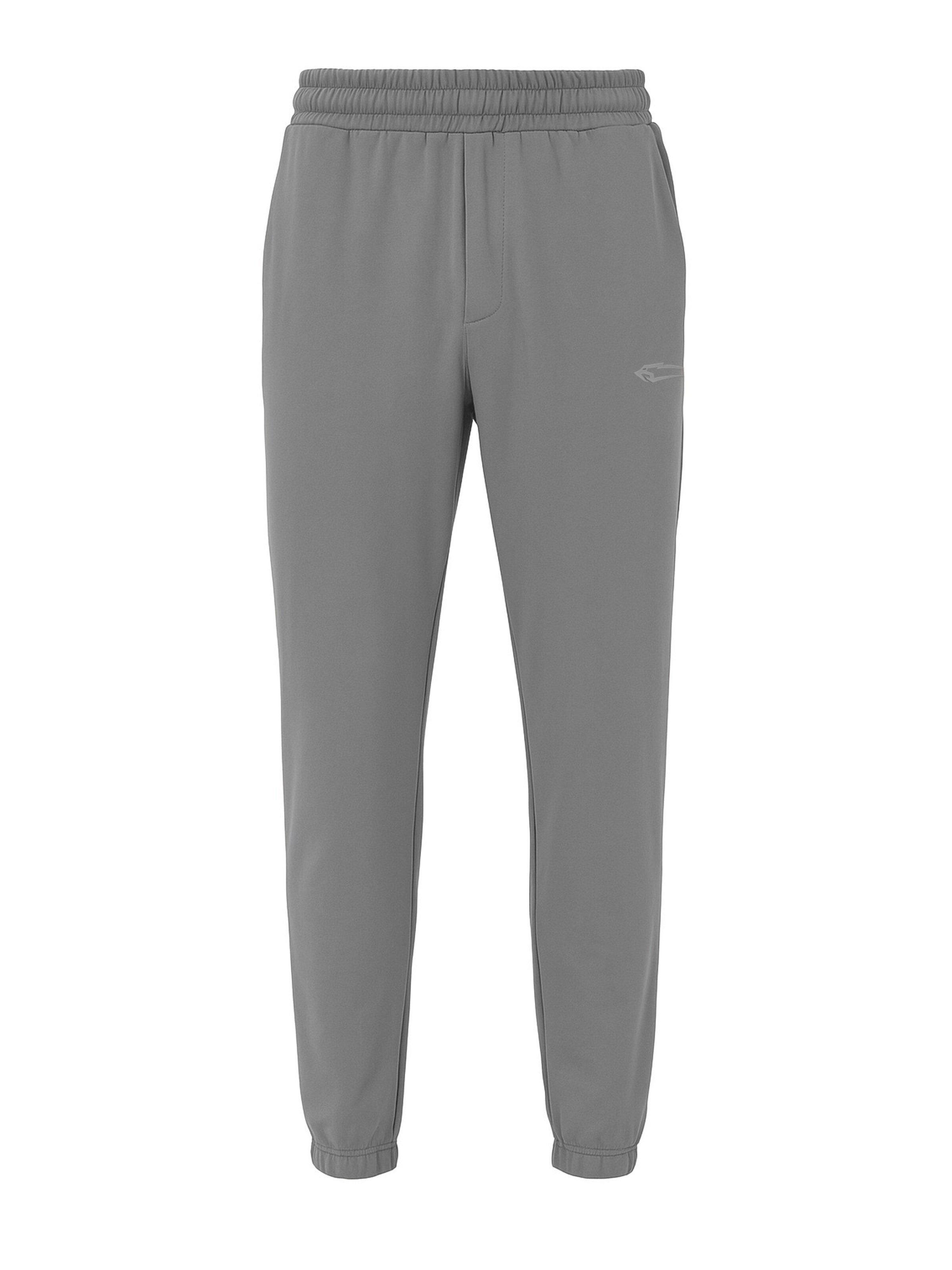 Regular Pantalon Smilodox en gris : devant