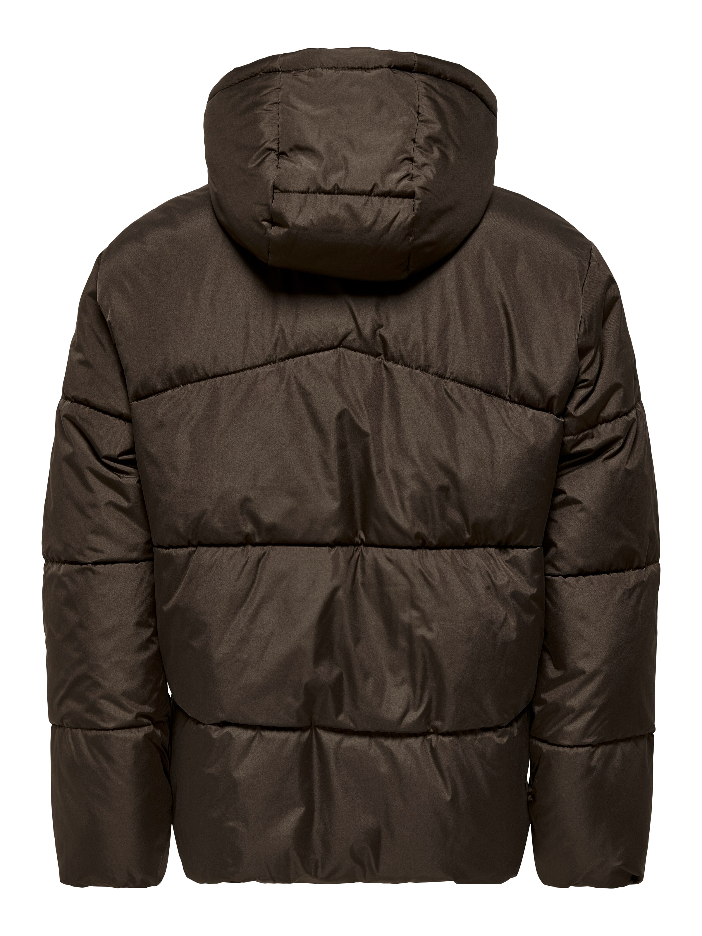 Veste mi-saison Only & Sons en marron