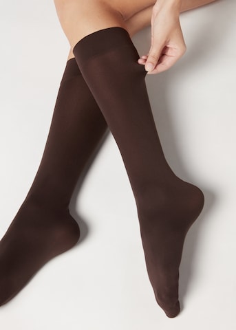 CALZEDONIA Knee High Socks in Brown: front