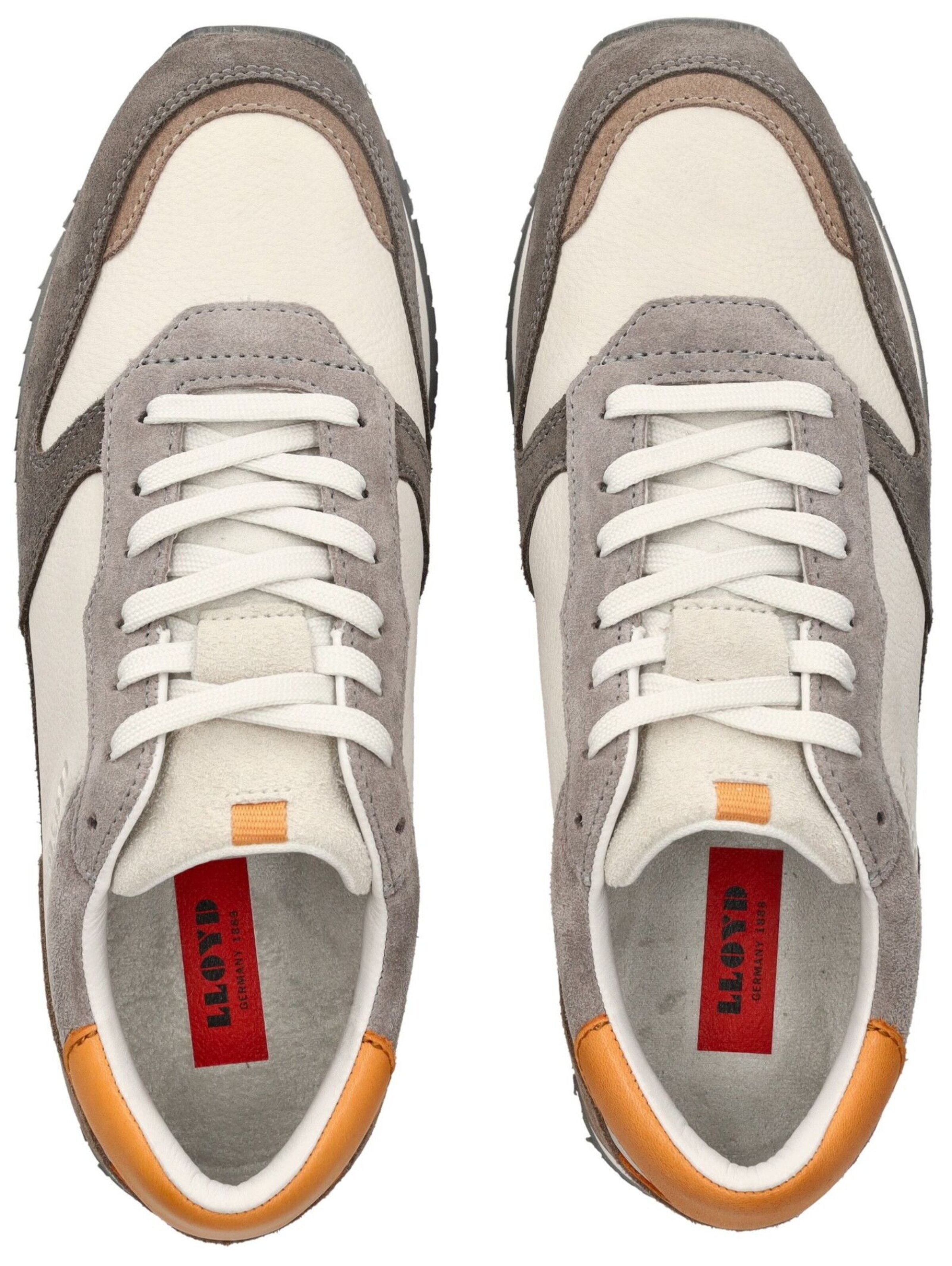 Sneaker bassa di LLOYD in grigio