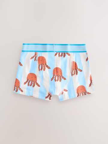 Next Underpants in Mixed colors