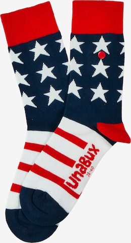 UNABUX Socks in Mixed colours: front