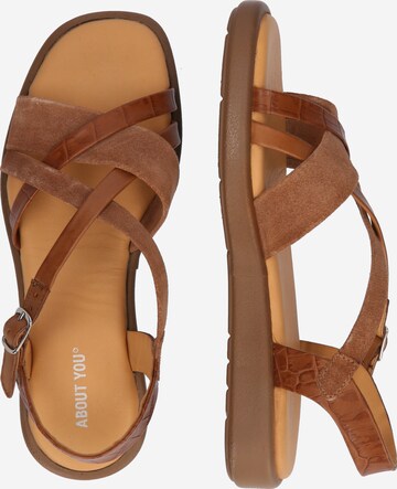 ABOUT YOU Strap sandal 'Adriana' in Brown