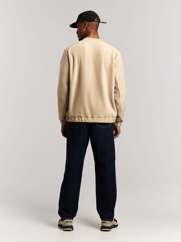 PROTEST Pullover 'PRTKeenan'‌‌‌‌‌‌‌‌‌ in Braun