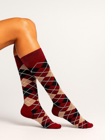Lycille Knee High Socks in Red