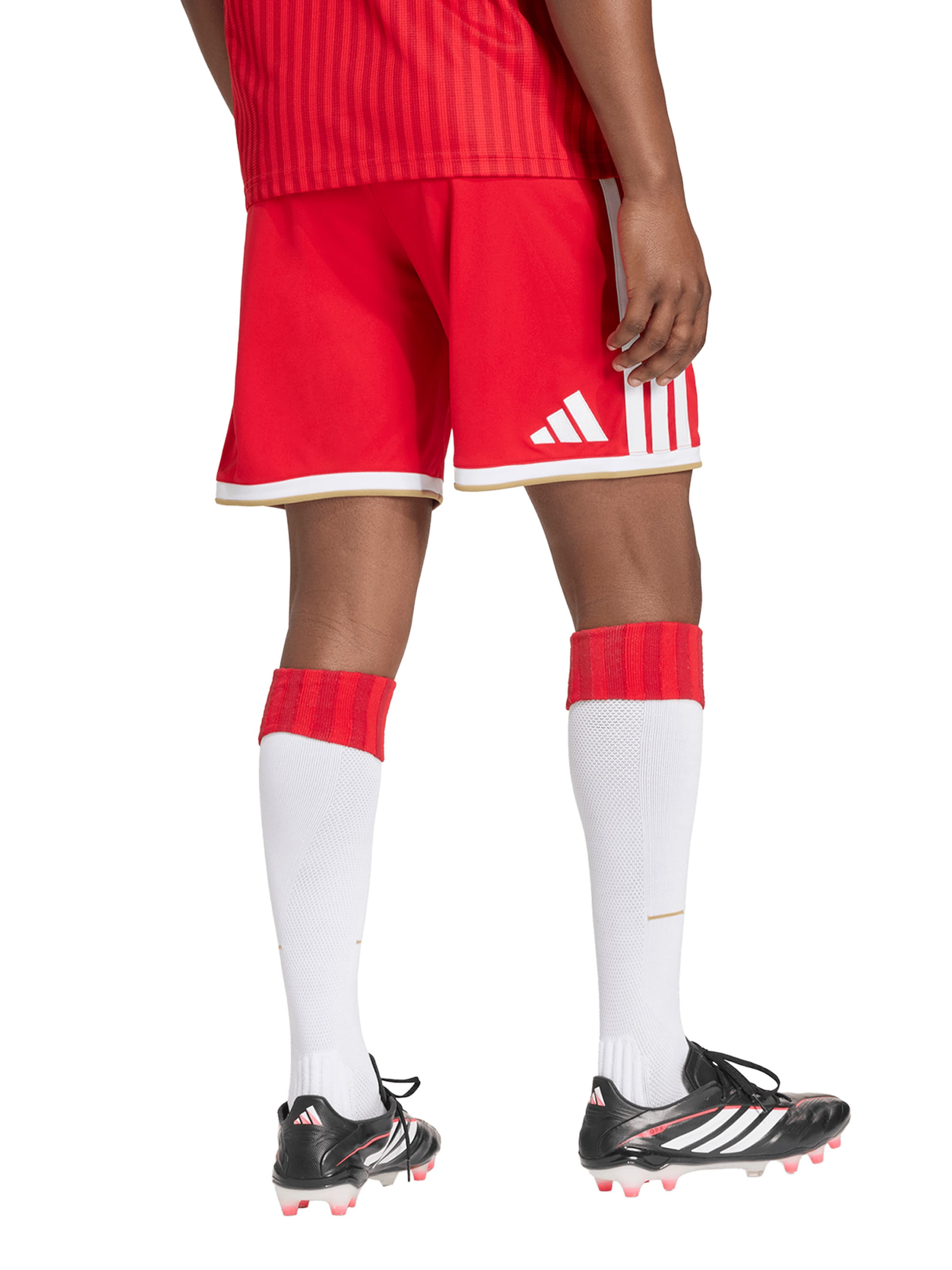 ADIDAS PERFORMANCE regular Παντελόνι φόρμας 'FC Bayern München 26/27' σε κόκκινο